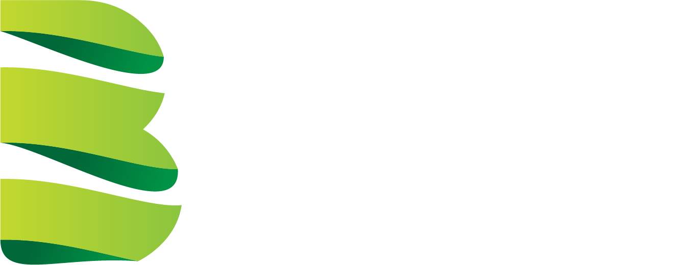 Beritam Project and Training Solutions